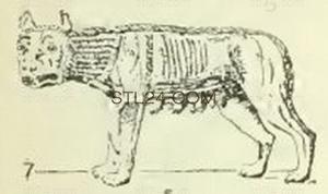 ANIMAL_0121